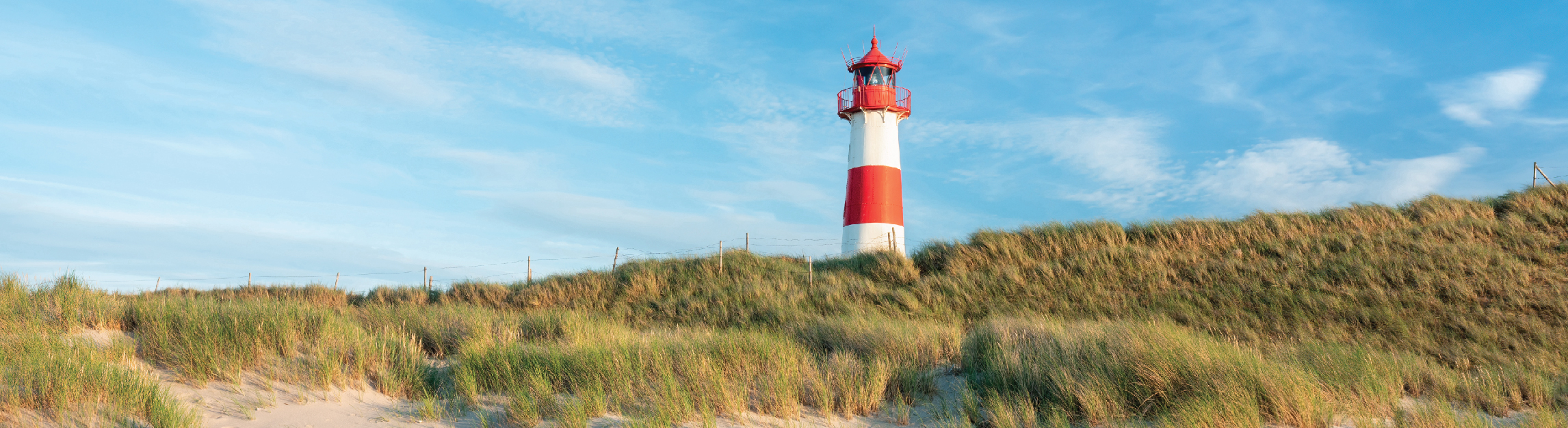 Have You Seen the View From Lighthouse?