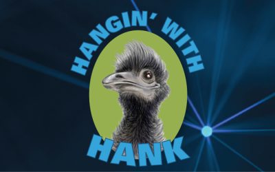 Hanging with Hank: Exploring CE21’s Bundle Features